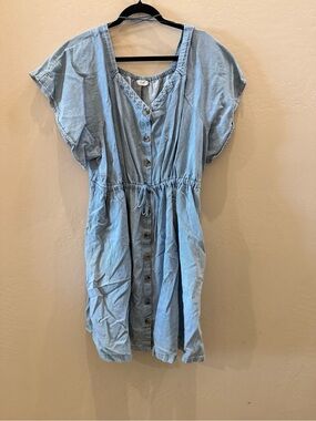 Terra & Sky Light Blue Denim Button-Front Dress #P180